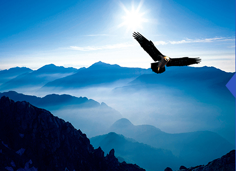 银娱优越会·GEG(中国)股份有限公司